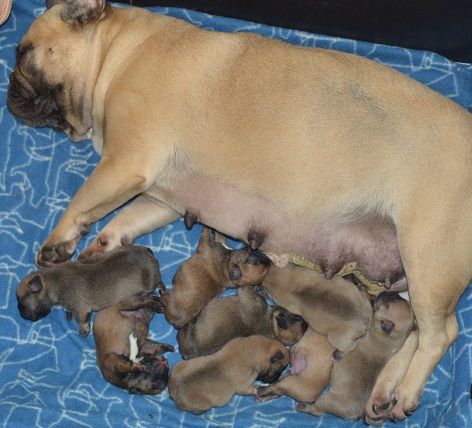 Nos bébés nés le 01 juillet 2024 et leur évolution